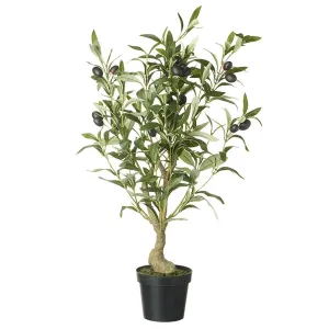 Artificial Olive Tree in Black Pot