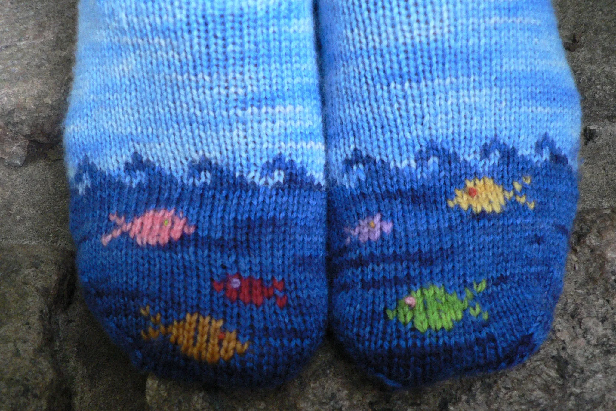 Fish in the Sea socks