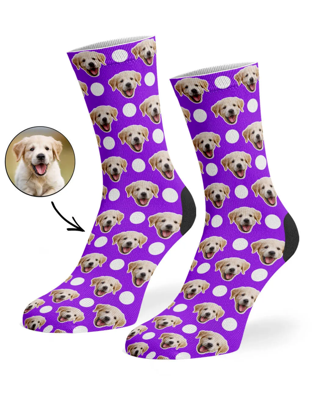 Polka Dog Socks