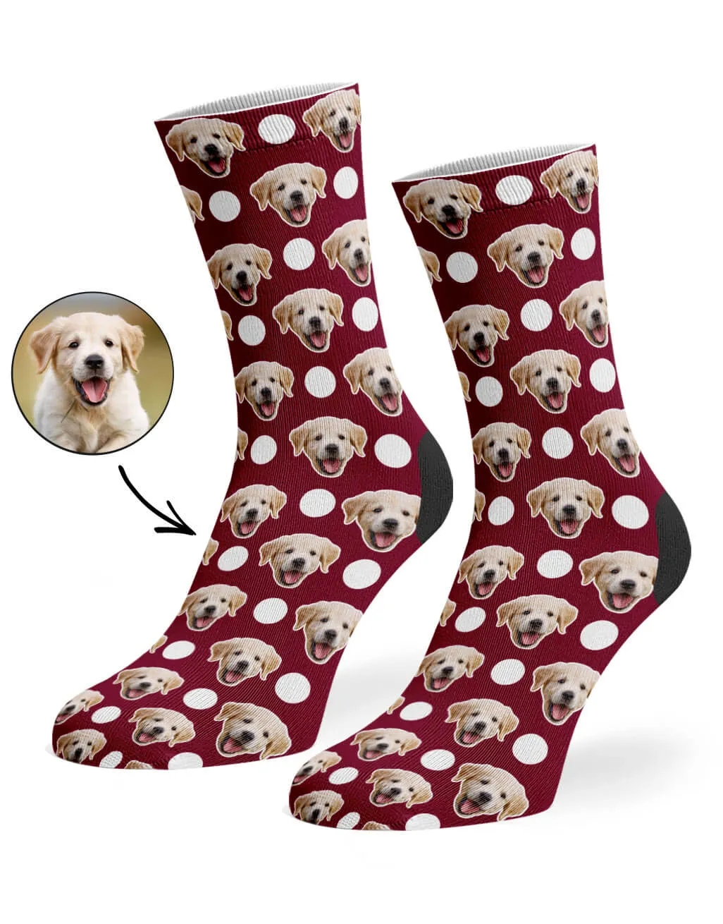 Polka Dog Socks