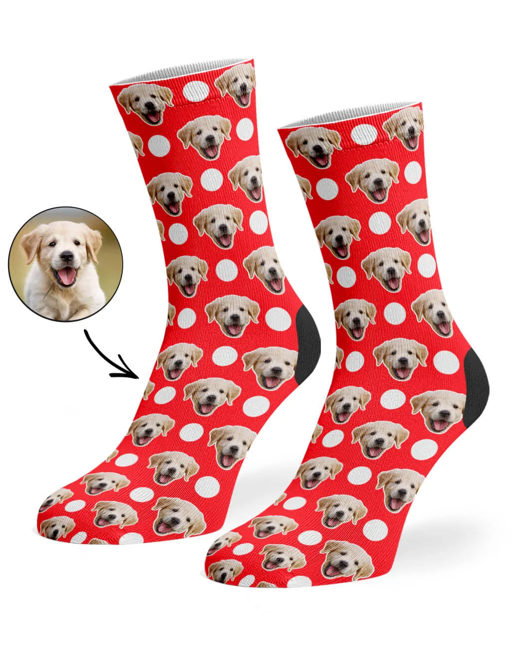 Polka Dog Socks