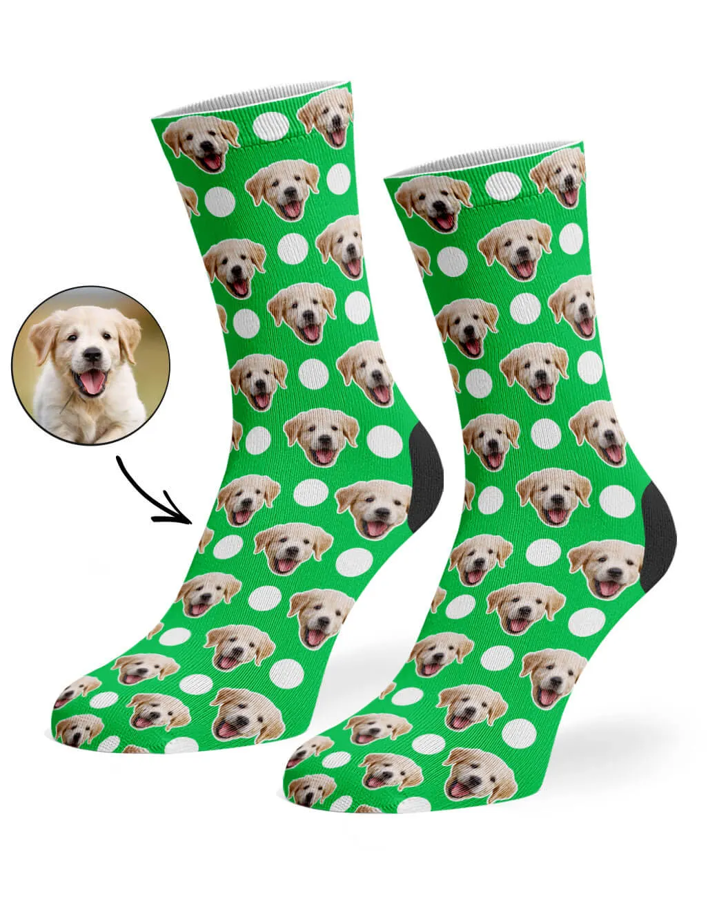 Polka Dog Socks