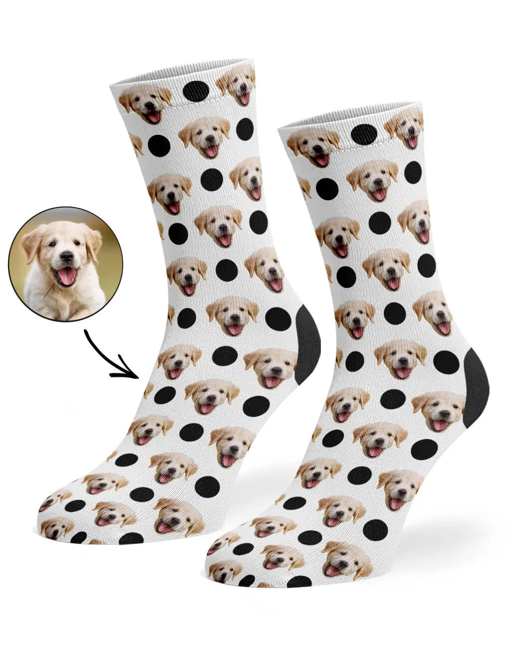 Polka Dog Socks